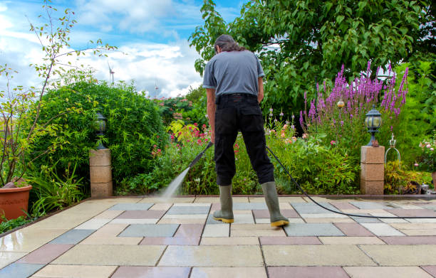 Best Restaurant Pressure Washing  in San Felipe, TX